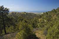 Troodos View