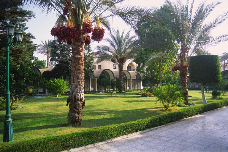 The Oasis Hotel Grounds - Near Cairo - image