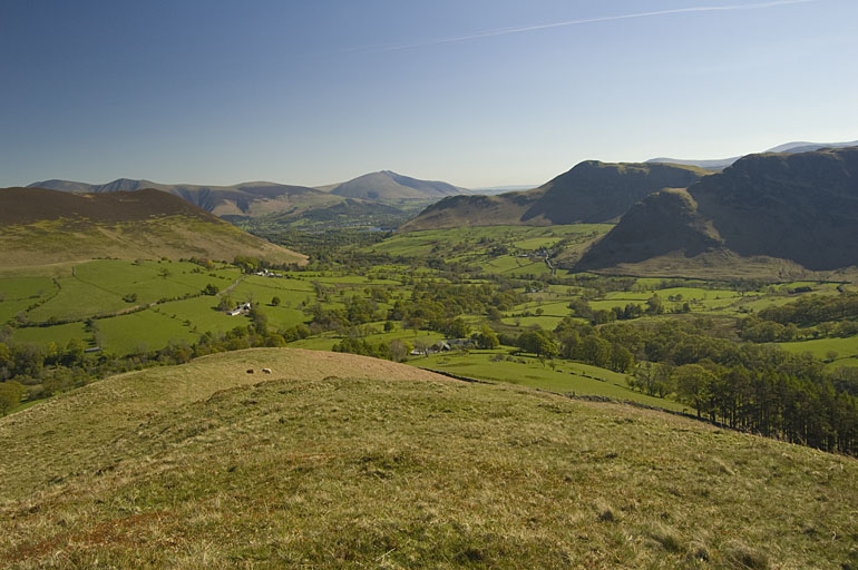 Newlands from High Snab Bank