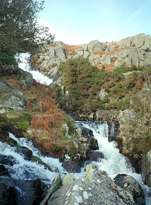 Measand Beck - The Central Forces