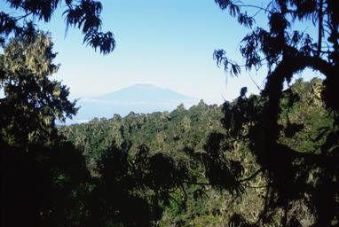 Mount Meru from the Mweka Route