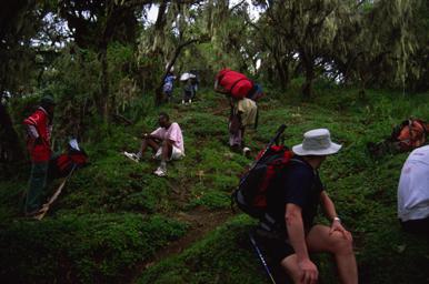 The Trail on Mount Meru