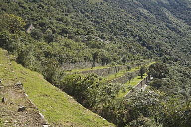 Terraces near the Main Square in Choquequirao