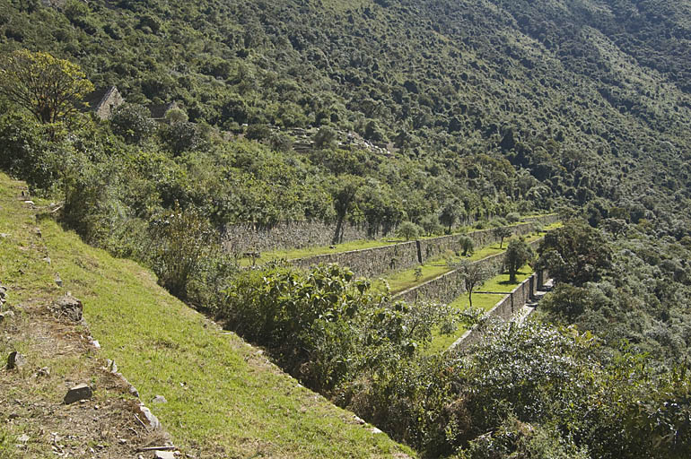 Terraces near the Main Square in Choquequirao