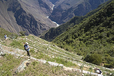 Llama Terraces from Above