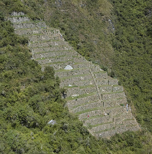 Llama Terraces from Viewing Point