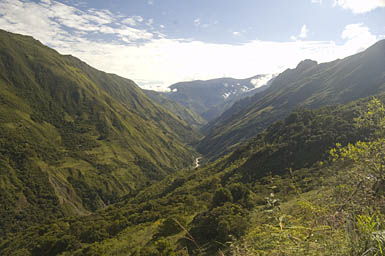 Down the Valley of the Rio Santa Teresa