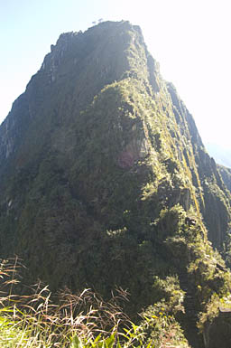 The Path on Wayna Picchu