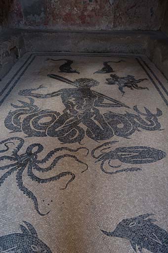 Mosaic floor of the Women's Apodyterium